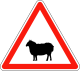 A15a2
